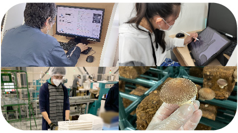 様々な業務に対応可能!